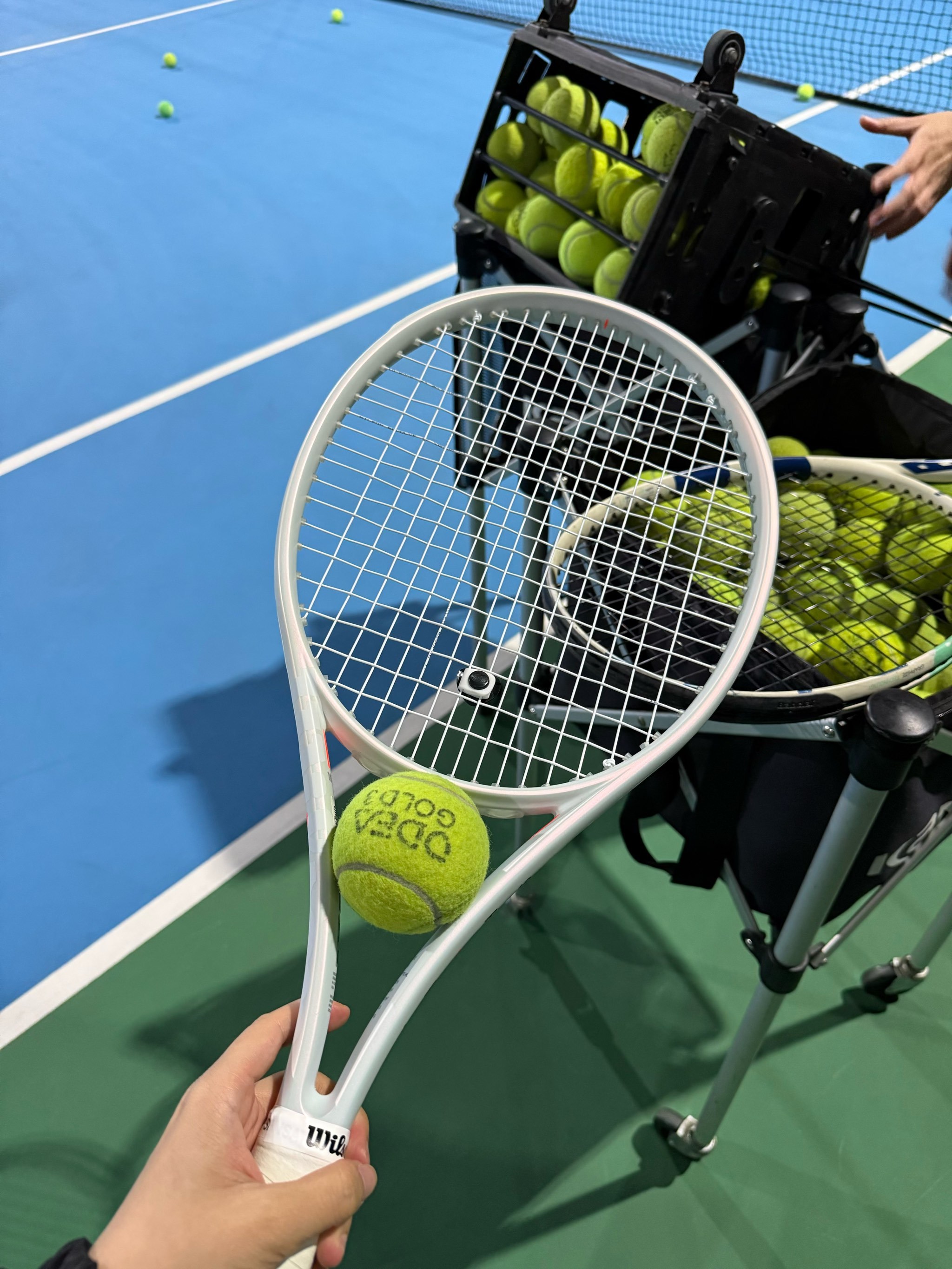 关键因素 关键因素