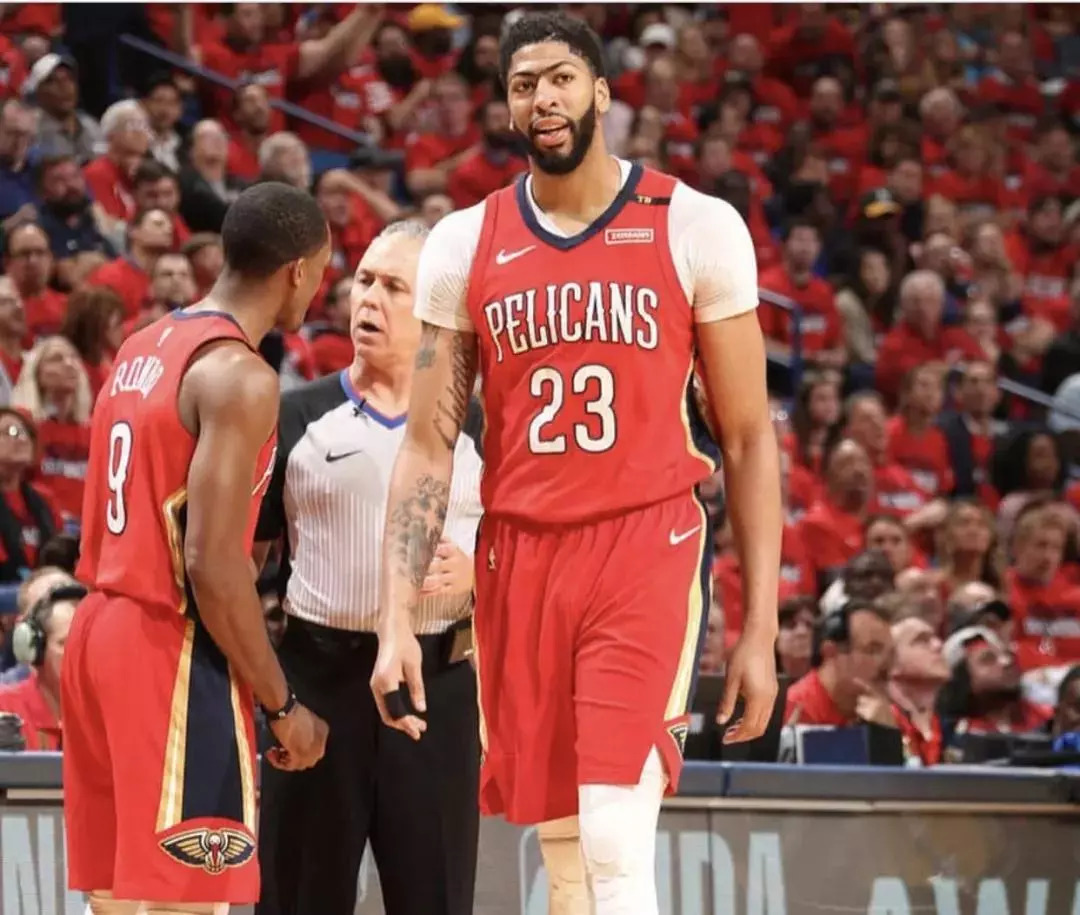 新了一条引 新了一条引