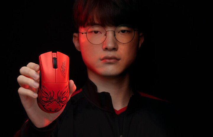 引入能护球 引入能护球